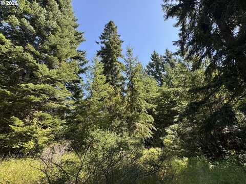 SNOWDEN, White Salmon, WA 98672