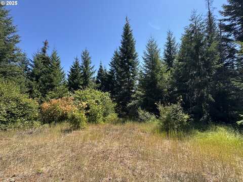 SNOWDEN, White Salmon, WA 98672