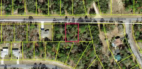 1814 W Magenta Drive, Citrus Springs, FL 34434