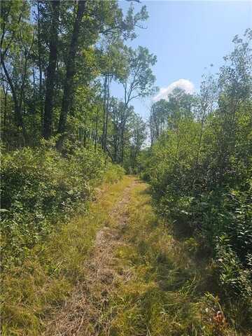 000 Highway 65, Mc Grath, MN 56342