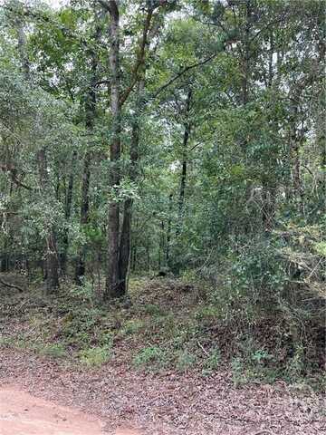 Tract #3 Lake Deerfield Rd, Hull, GA 30646