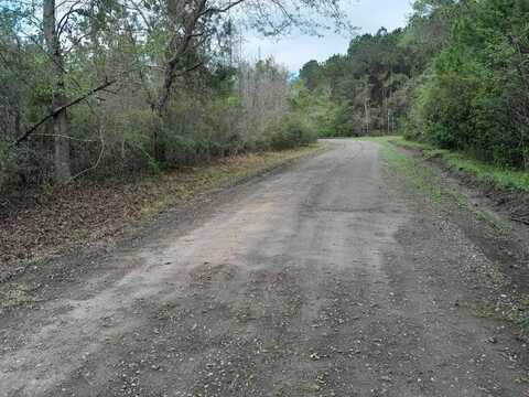 Ortho Lane (Aka Trojan Lane), Cross, SC 29436