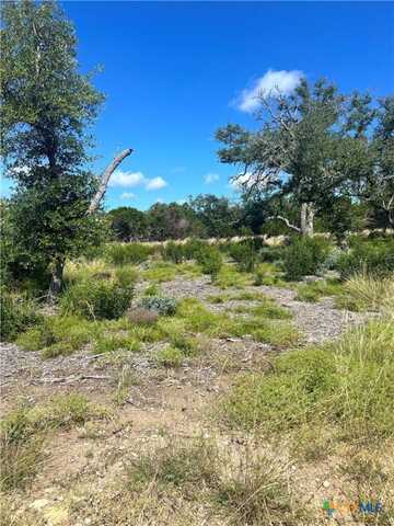00000 Citadel Rd, Comfort, TX 78010