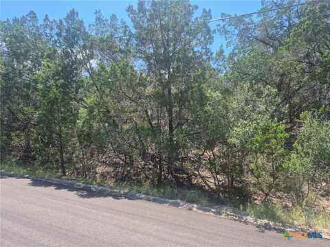 3602 Stillwood Lane, Lago Vista, TX 78645
