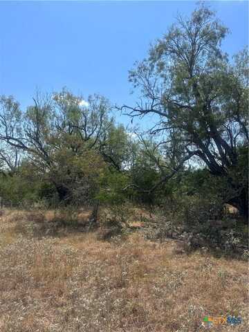 6032 County Road 405, Floresville, TX 78114