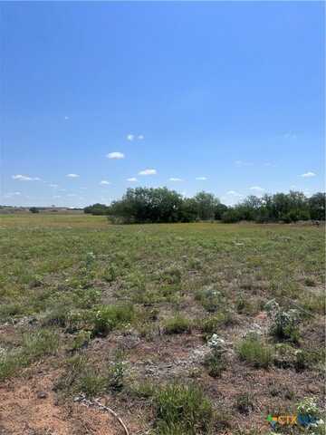 6068 County Road 405, Floresville, TX 78114