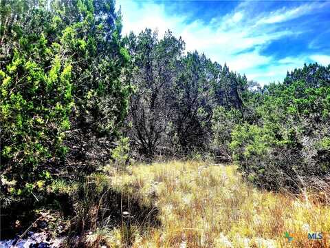 1680 Stallion Springs Drive, Fischer, TX 78623
