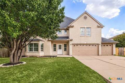113 Silver Lace Lane, Round Rock, TX 78664