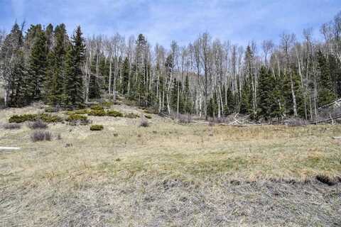 Copper Creek Estates, Red River, NM 87558