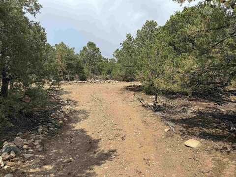 Lots 10 And 11 Lower Llano Road, Questa, NM 87556