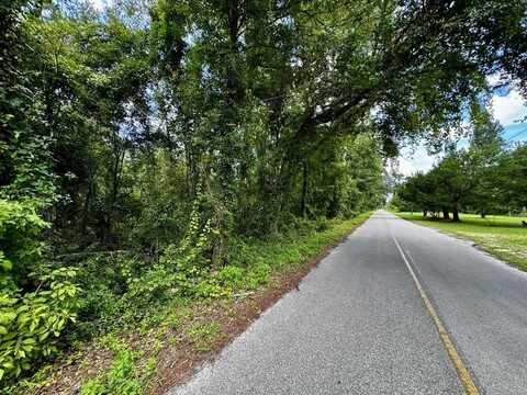 Vacant Luther Wilson Road, Greenville, FL 32331