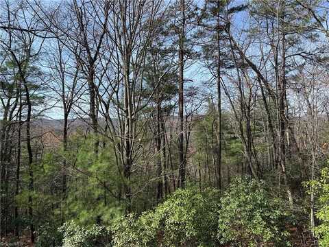 Lot 213 Casey Mountain Road, Purlear, NC 28665