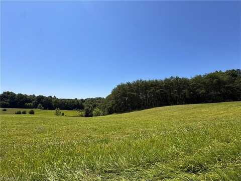 10 Acres Lot C Hauser Road, Pinnacle, NC 27043