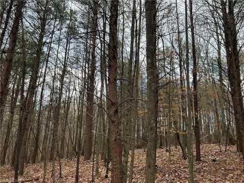 Lot 14 Fisher Valley Road, Dobson, NC 27017
