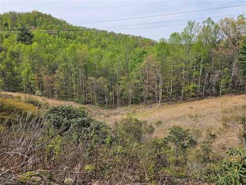 Off N NC Highway 16, Millers Creek, NC 28651
