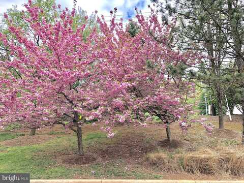 6402 SPRINGVIEW PLACE, ROCKVILLE, MD 20852