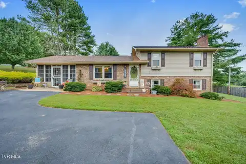 117 Morgan Lane, Fall Branch, TN 37656