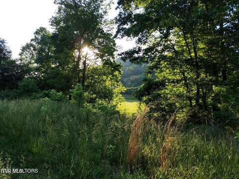 Tbd Main Street, Sneedville, TN 37869