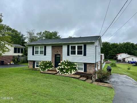 396 Pleasant Grove Road, Bluff City, TN 37618