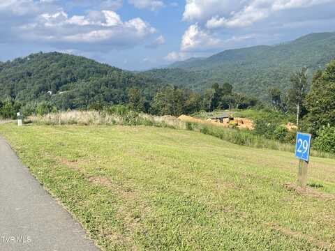 Tbd Cowan Town Road, Mountain City, TN 37683