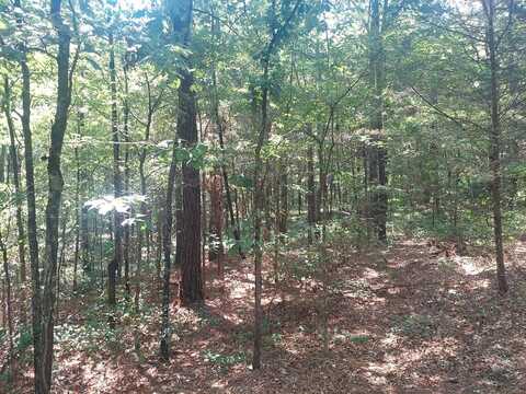 Radford Lake Rd, HENRY, TN 38242