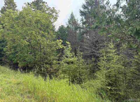 TBD County 503 CC, Rapid River, MI 49878