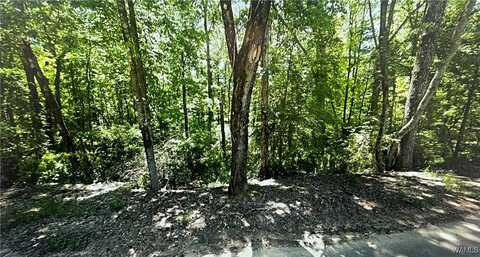 Kimberly Drive, Lake View, AL 35111