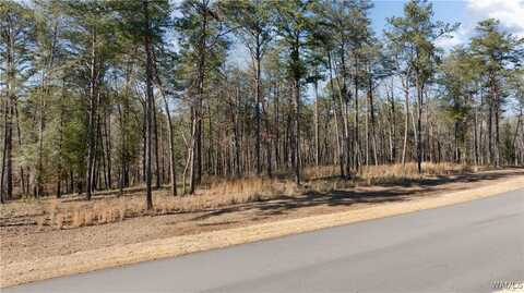 14180 Watercolor Drive, Northport, AL 35475