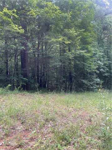 HARGROVE Road E, Tuscaloosa, AL 35453