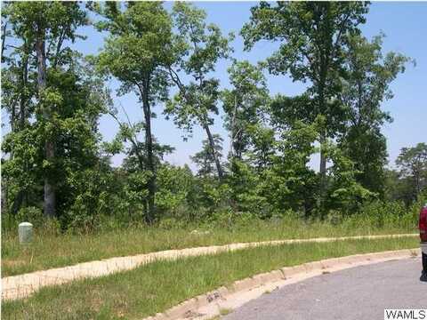 1680 LAKE HAVEN Circle unit: 26, Tuscaloosa, AL 35406