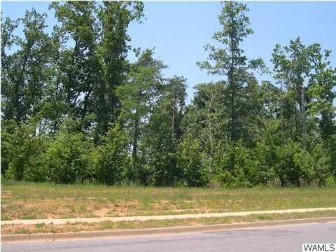 9830 LAKE SIDE Drive unit: 60, Tuscaloosa, AL 35406