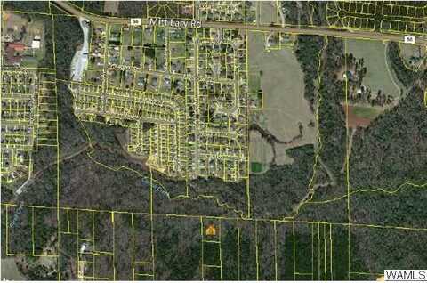 TOM TAYLOR Road, Northport, AL 35473