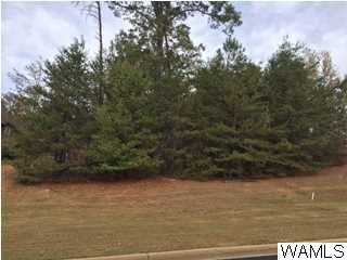3520 HARBOR RIDGE Way unit: 76, Tuscaloosa, AL 35406