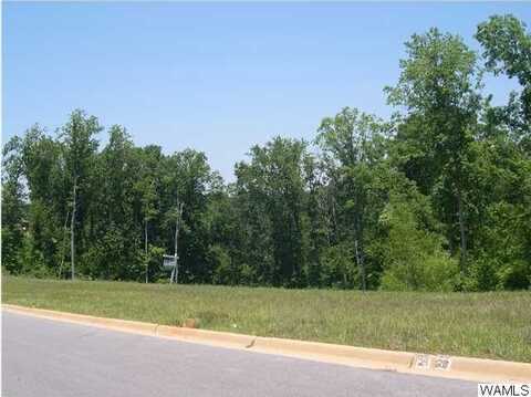 9951 LAKE SIDE Drive unit: 30, Tuscaloosa, AL 35406