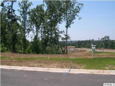 9780 ANCHOR Drive unit: 77, Tuscaloosa, AL 35406