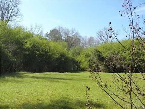 Daffron Road, Cottondale, AL 35453