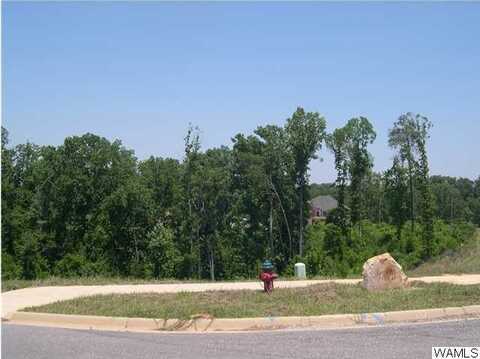 9901 LAKE SIDE Drive unit: 28, Tuscaloosa, AL 35406