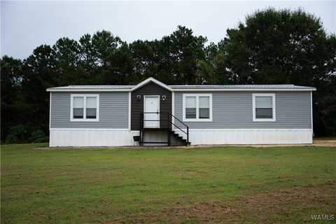 6603 County Highway 45, Guin, AL 35563
