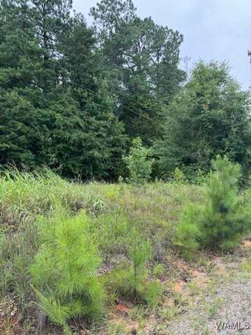 10452 N Davis Road, Cottondale, AL 35453