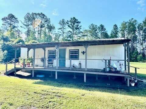 79 & 81 Driftwood Lane, Boligee, AL 35443