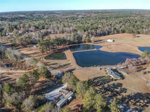 16414 Hwy 11 N, Vance, AL 35490