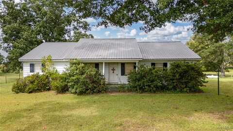 13291 Hwy 25 S, Greensboro, AL 36744