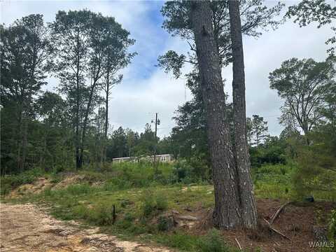 273 Honeysuckle Drive, Fayette, AL 35555