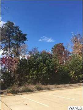9700 ANCHOR Drive unit: 81, Tuscaloosa, AL 35406