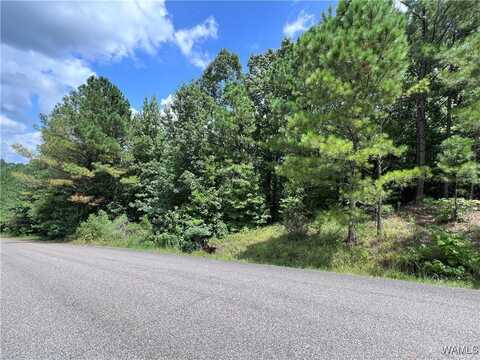 Rosser Rd, Duncanville, AL 35456