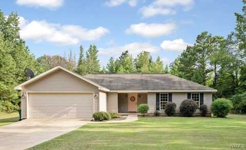 14001 Doyle Beams Rd, Cottondale, AL 35453