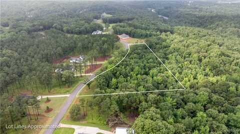 14256 Watercolor Drive, Northport, AL 35475