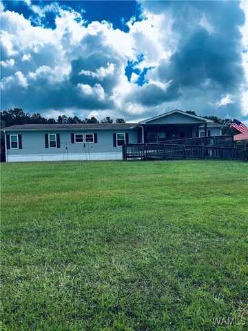 11901 Day Lake Drive, Brookwood, AL 35444