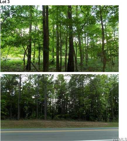 6030 Garner Road, Tuscaloosa, AL 35405