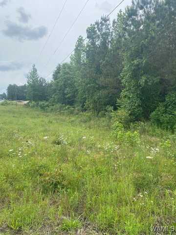 3 HWY. 43 NORTHPORT, Northport, AL 35475